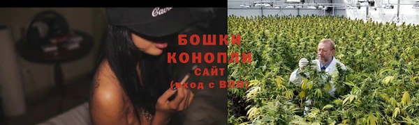 ГАЛЛЮЦИНОГЕННЫЕ ГРИБЫ Лихославль