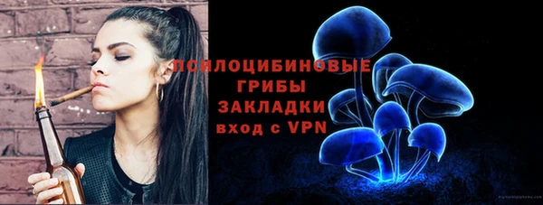 ГАЛЛЮЦИНОГЕННЫЕ ГРИБЫ Лихославль