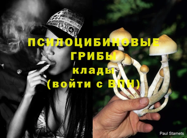 ГАЛЛЮЦИНОГЕННЫЕ ГРИБЫ Лихославль
