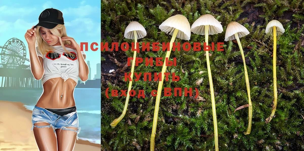 таблы Липки